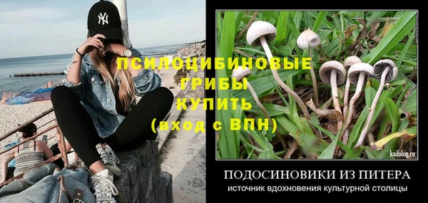молекула духа Наволоки